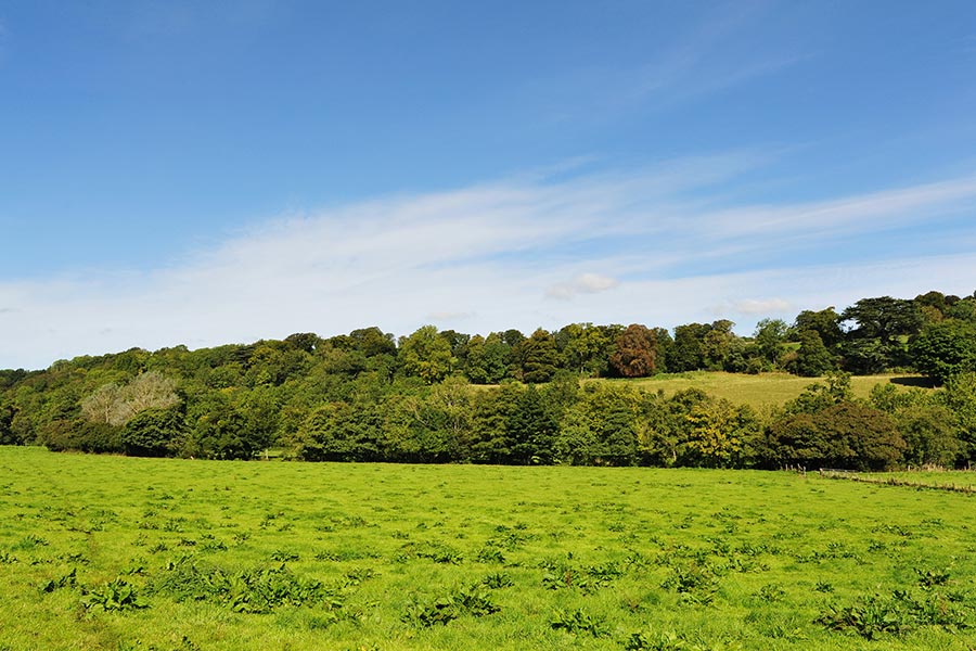 Agricultural Property Finance for a Diversified Rural Estate Portfolio
